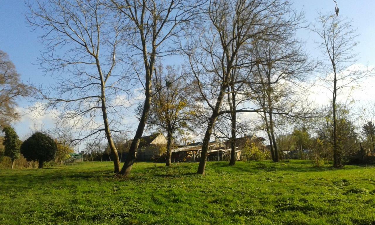 Apartmán Bochmann Zalaszanto